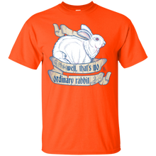 Load image into Gallery viewer, Killer Bunny T-Shirt