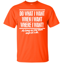 Load image into Gallery viewer, Do What I Want T-Shirt